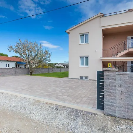 Knezevic A